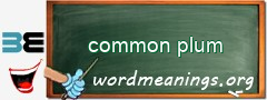 WordMeaning blackboard for common plum